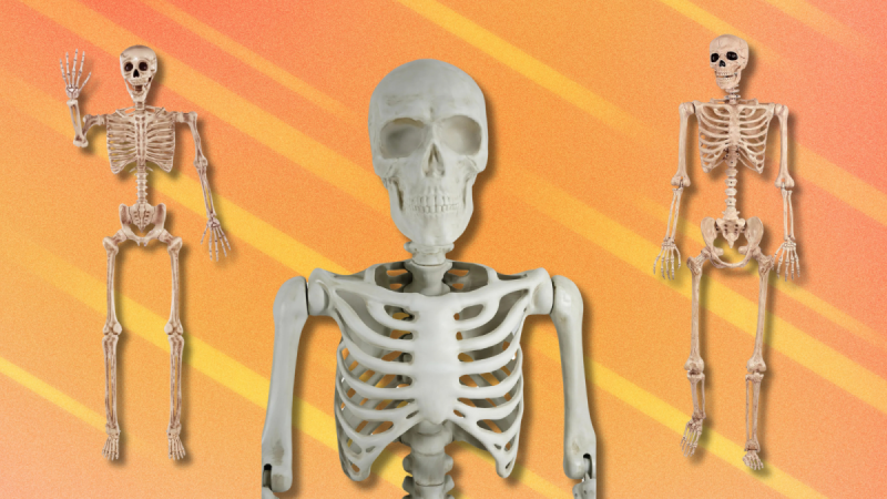 Boo! Get poseable skeletons at frightening excellent rates