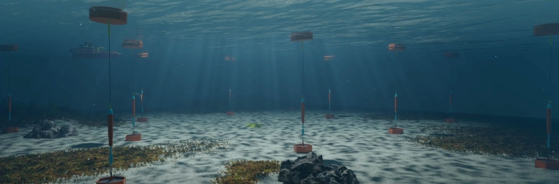 Sweden’s task gets EUR1.7 M increase for wave energy converter innovation