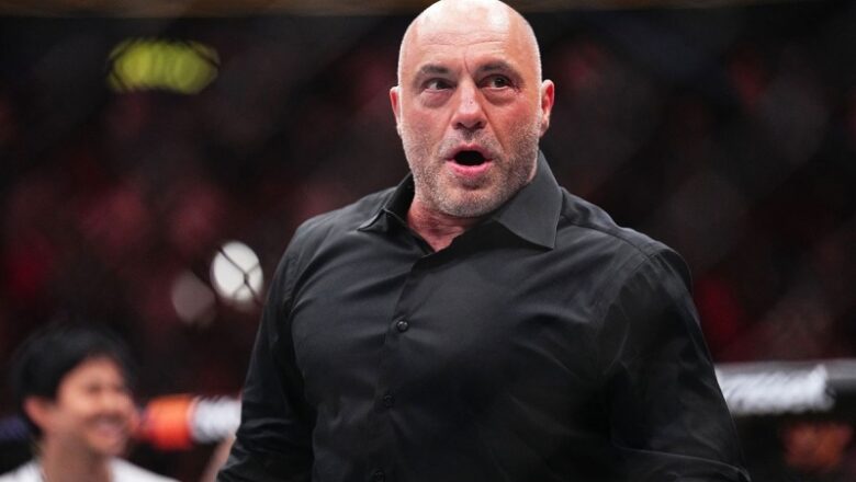 Joe Rogan formally backs Trump following take a seat with Elon Musk