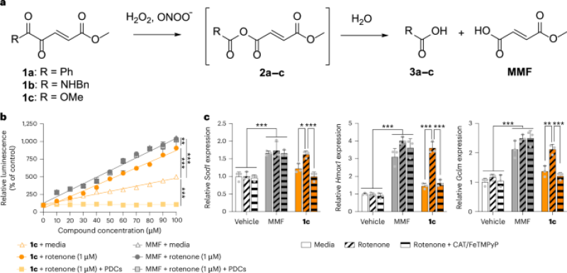 Site-specific drug release of monomethyl fumarate to deal with oxidative tension conditions