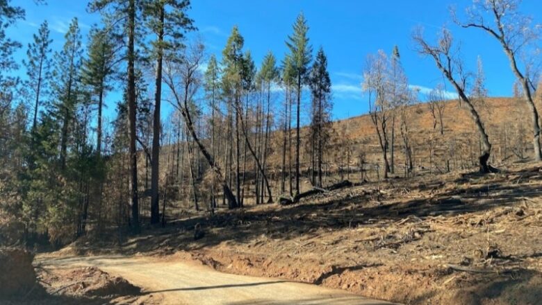 United States Forest Service choice to stop proposed burns in ca is history duplicating