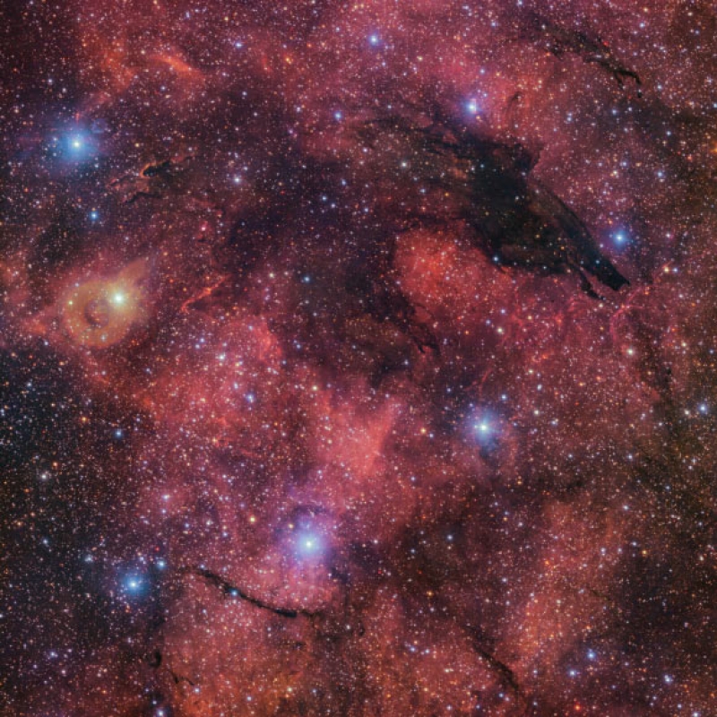 VST Captures New Image of Dark Wolf Nebula