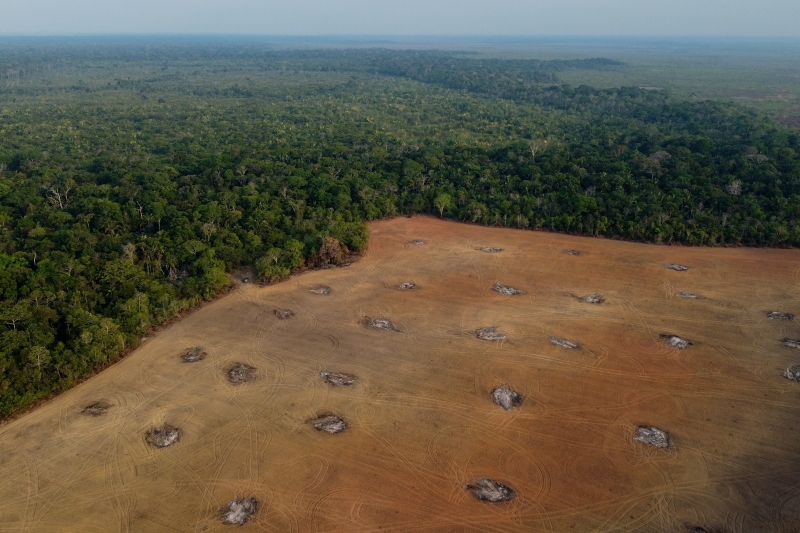 How do you conserve a rain forest? Leave it alone.