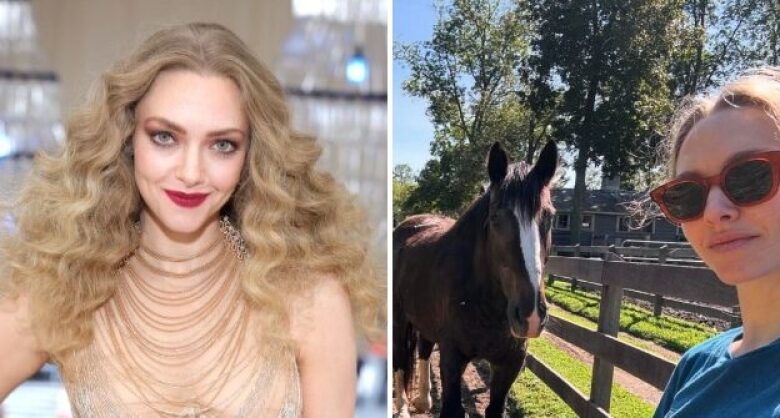 Starlet Amanda Seyfried Ditched Living in Los Angeles for the ‘Peace’ of a Rural Farm