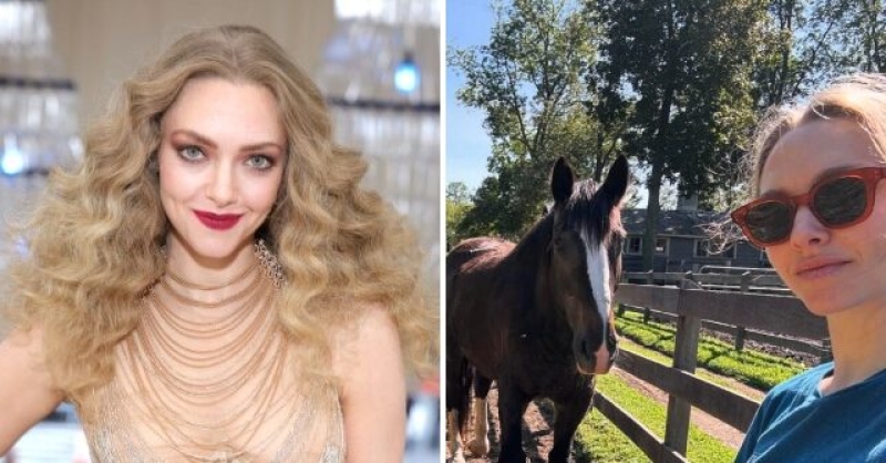 Starlet Amanda Seyfried Ditched Living in Los Angeles for the ‘Peace’ of a Rural Farm