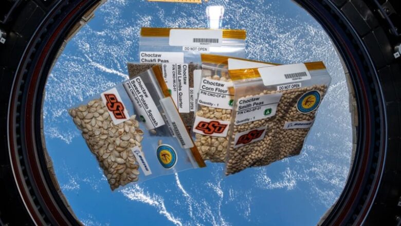 Space-flown Choctaw Nation seeds to be planted in the world for STEM experiment