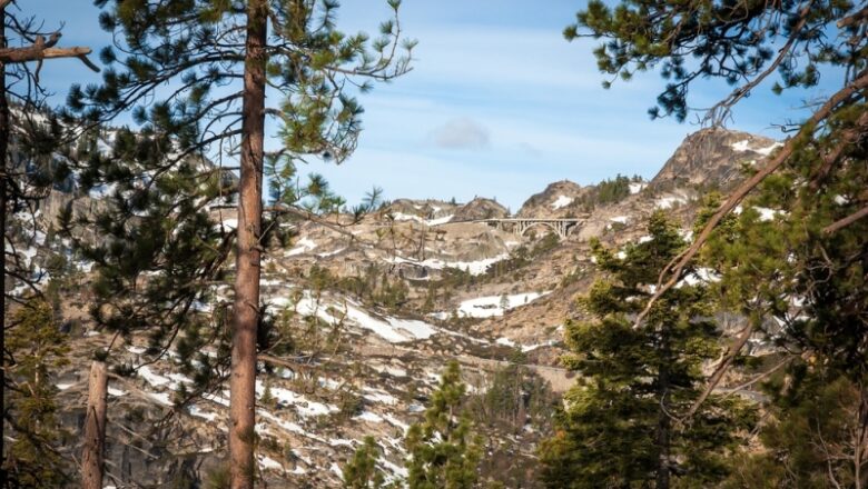 What If the Donner Party Didn’t Resort to Cannibalism?