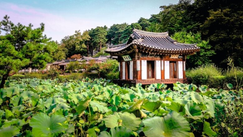 5 alternative cities to check out in South Korea