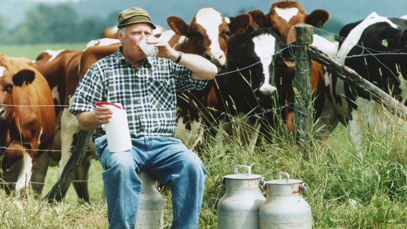 What Is Raw Milk? And Why Everyone Is Talking About It