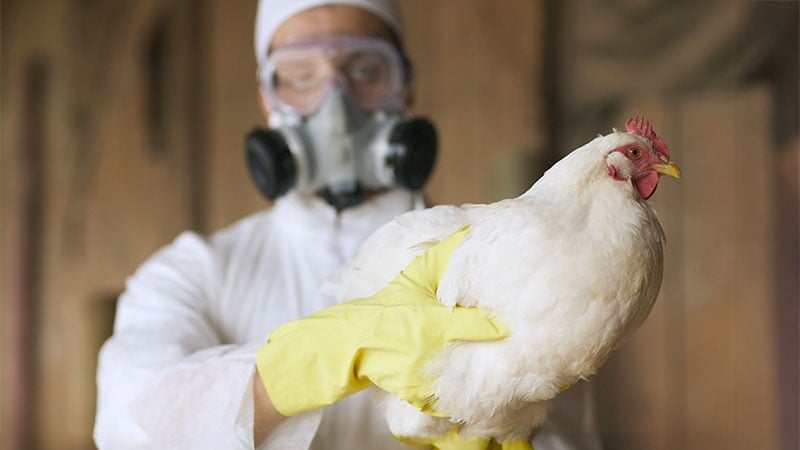 Canadian Scientists Keep Watchful Eye on H5N1 Human Case