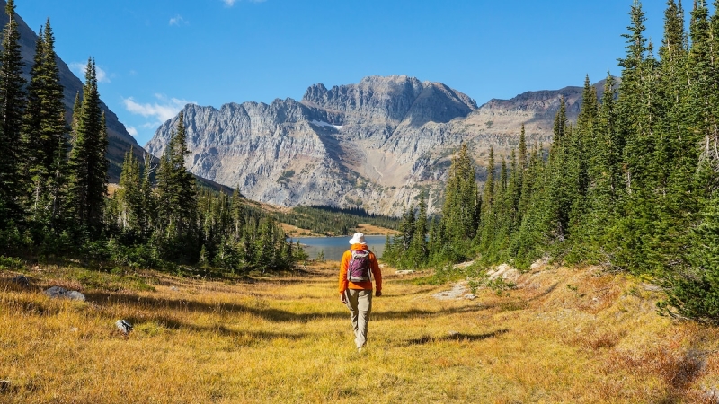 Discover the world’s last couple of ‘naturally peaceful’ locations