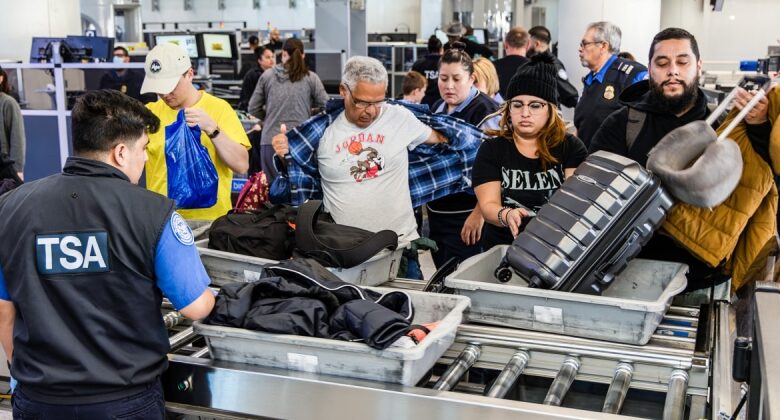 What Thanksgiving food meals will TSA enable on flights?