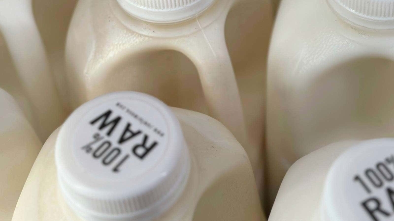 Bird Flu Virus Was Found in Raw Milk. What to Know About the Risks.