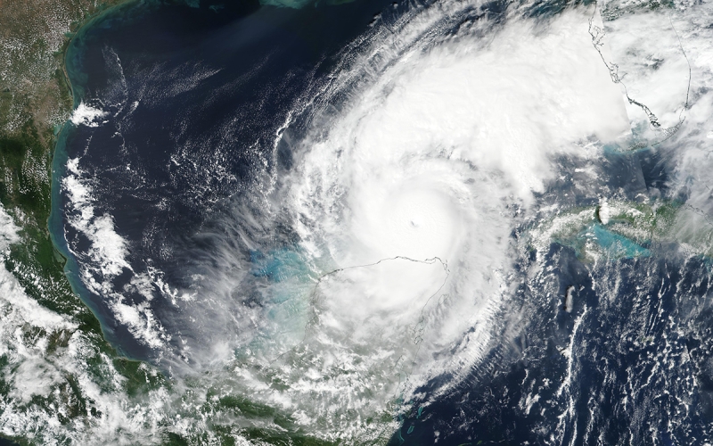 How the Very Warm Temperature of the Gulf of Mexico Might Lead to the Tampa Bay Rays Moving Out of Town