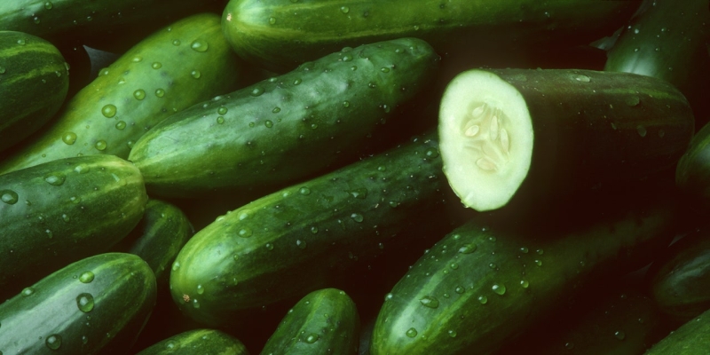 A Bunch of Cucumbers Have Been Recalled Amid a Widespread Salmonella Outbreak