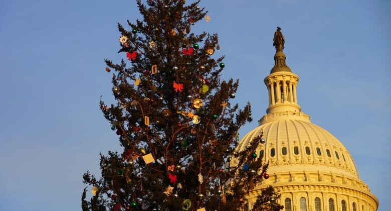 Why the Forest Service is motivating individuals to cut Christmas trees on public lands (with authorizations)