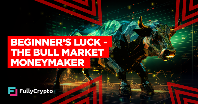 Novice’s Luck– the Bull Market Moneymaker