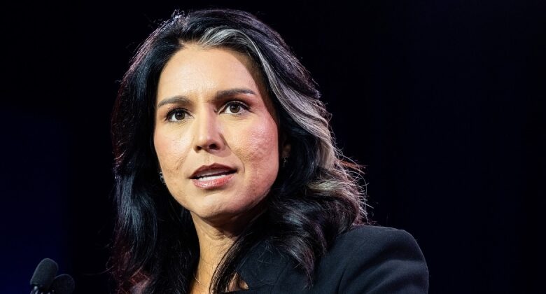 Almost 100 previous nationwide security authorities ‘alarmed’ at possibility of Gabbard leading intel neighborhood