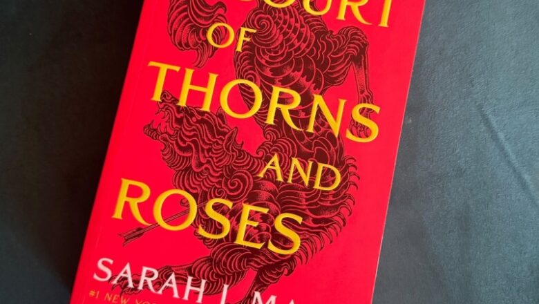 Why ACOTAR Fans Think Elain & Azriel Will Be the Leads in Next Book