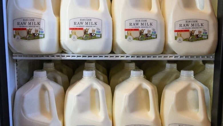 Is Raw Milk Safe? Here’s What to Know