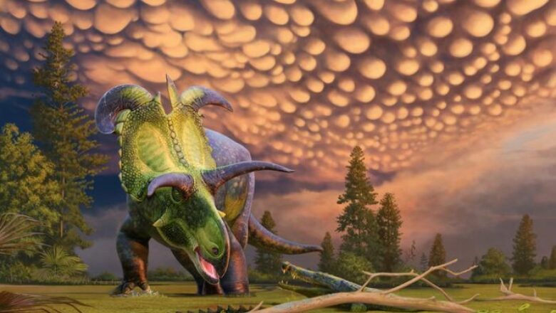 10 of one of the most Unique Dinosaur Species Discovered in 2024