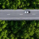 Collective transportation optimisation assists towards decarbonisation objectives