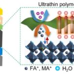 Perovskite solar battery based upon hole-selective interlayer attains 26.39% effectiveness