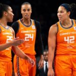 Ranking the 10 finest WNBA totally free representatives –