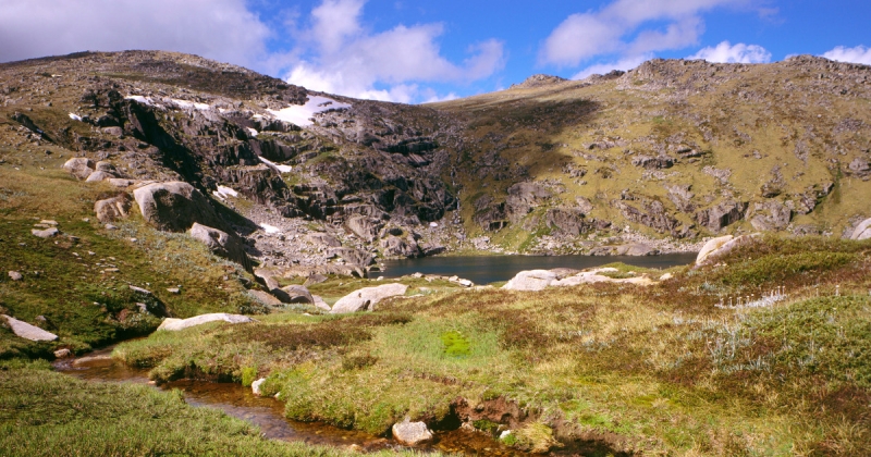 Missing out on Australian hiker discovered after making it through 2 weeks on muesli bars and berries