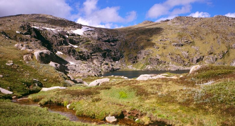 Missing out on Australian hiker discovered after making it through 2 weeks on muesli bars and berries