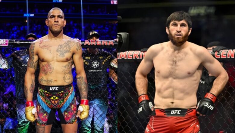 REPORT|Alex Pereira to lastly battle Magomed Ankalaev in UFC return