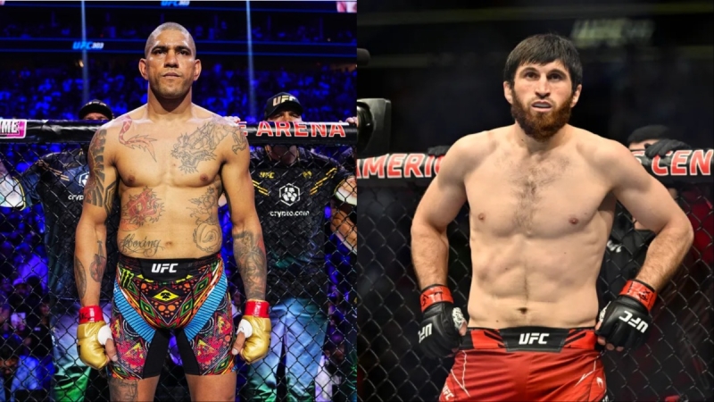 REPORT|Alex Pereira to lastly battle Magomed Ankalaev in UFC return