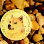 Expert Says Dogecoin Has Entered Another Bull Cycle, Puts Price Above $20