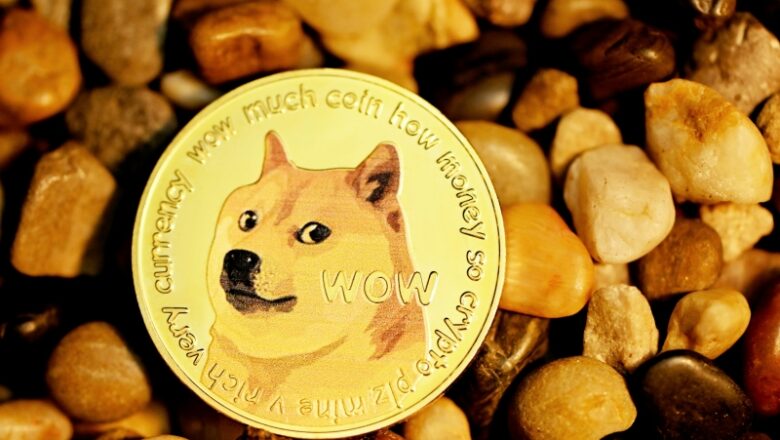 Expert Says Dogecoin Has Entered Another Bull Cycle, Puts Price Above $20