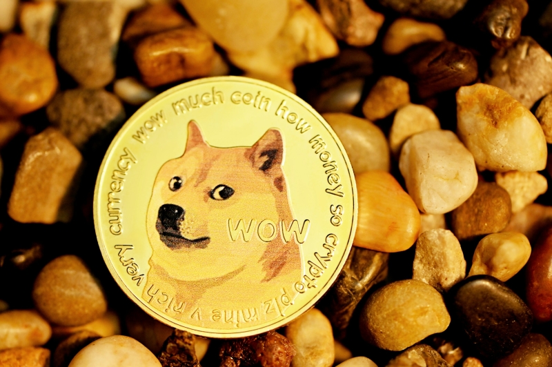 Expert Says Dogecoin Has Entered Another Bull Cycle, Puts Price Above $20