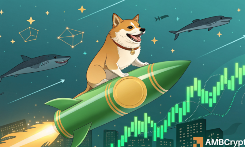 Dogecoin’s breakout chances– Here’s why whales may have the response!