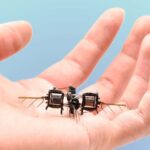 Tiny insect-like robotic can turn, loop and hover for approximately 15 minutes