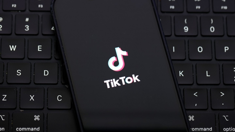 TikTok Shuts Down: Video App Goes Dark in U.S. as Divestiture Bill Is Set to Become Law