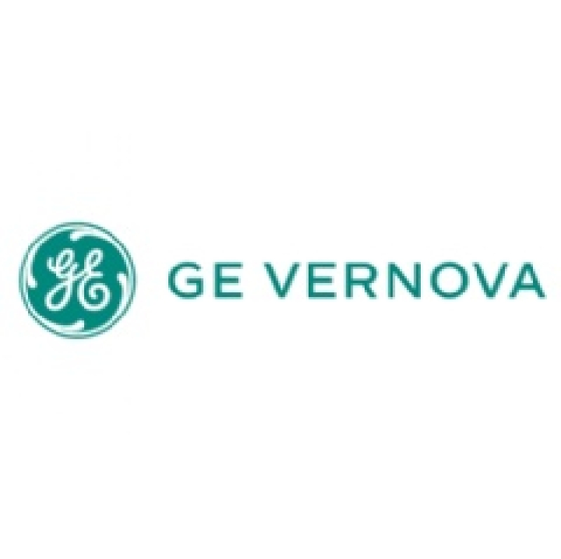 U.S. energies collaborate to speed up release of GE Vernova’s BWRX-300 little modular reactor